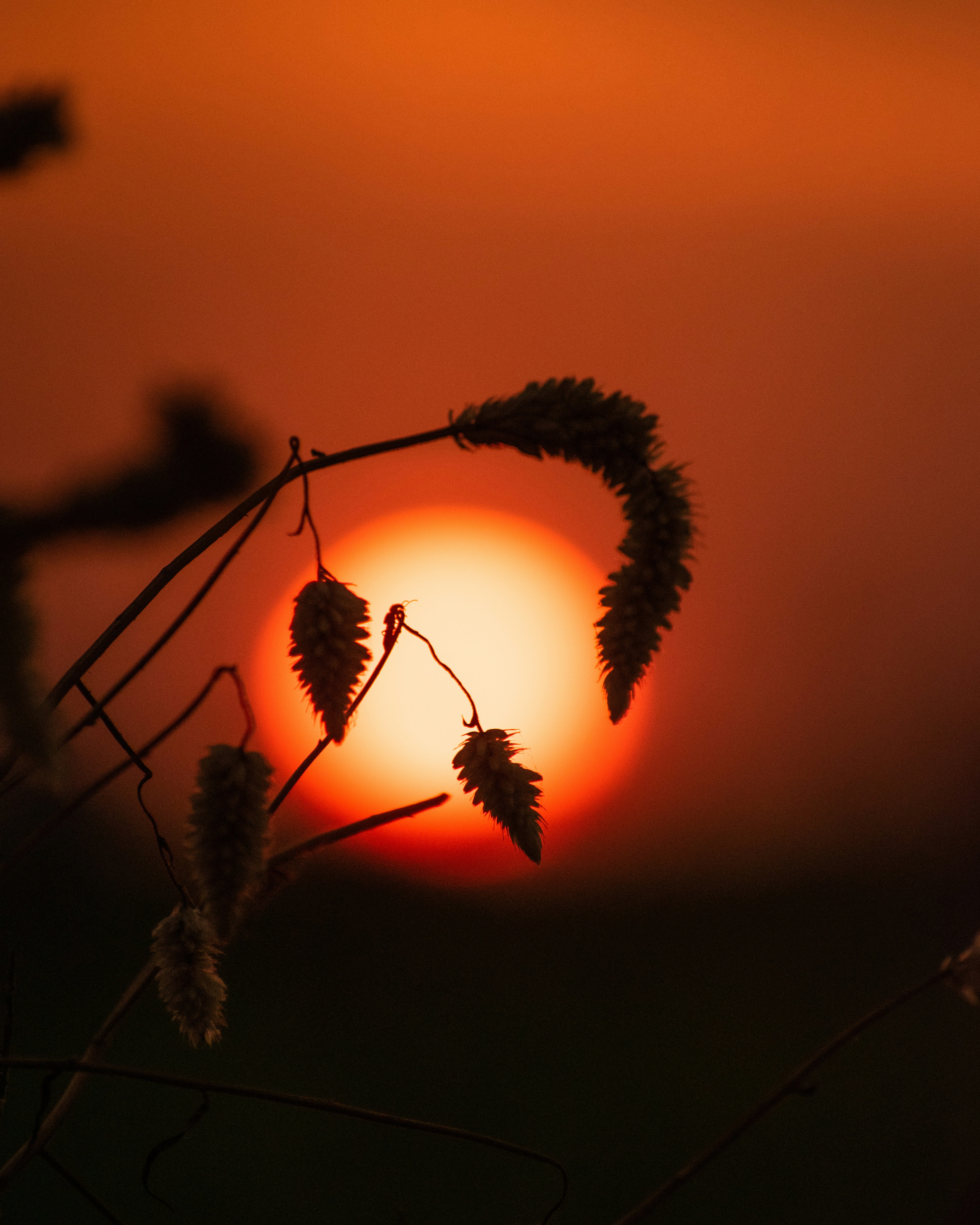 Photo by sagarkulkarni