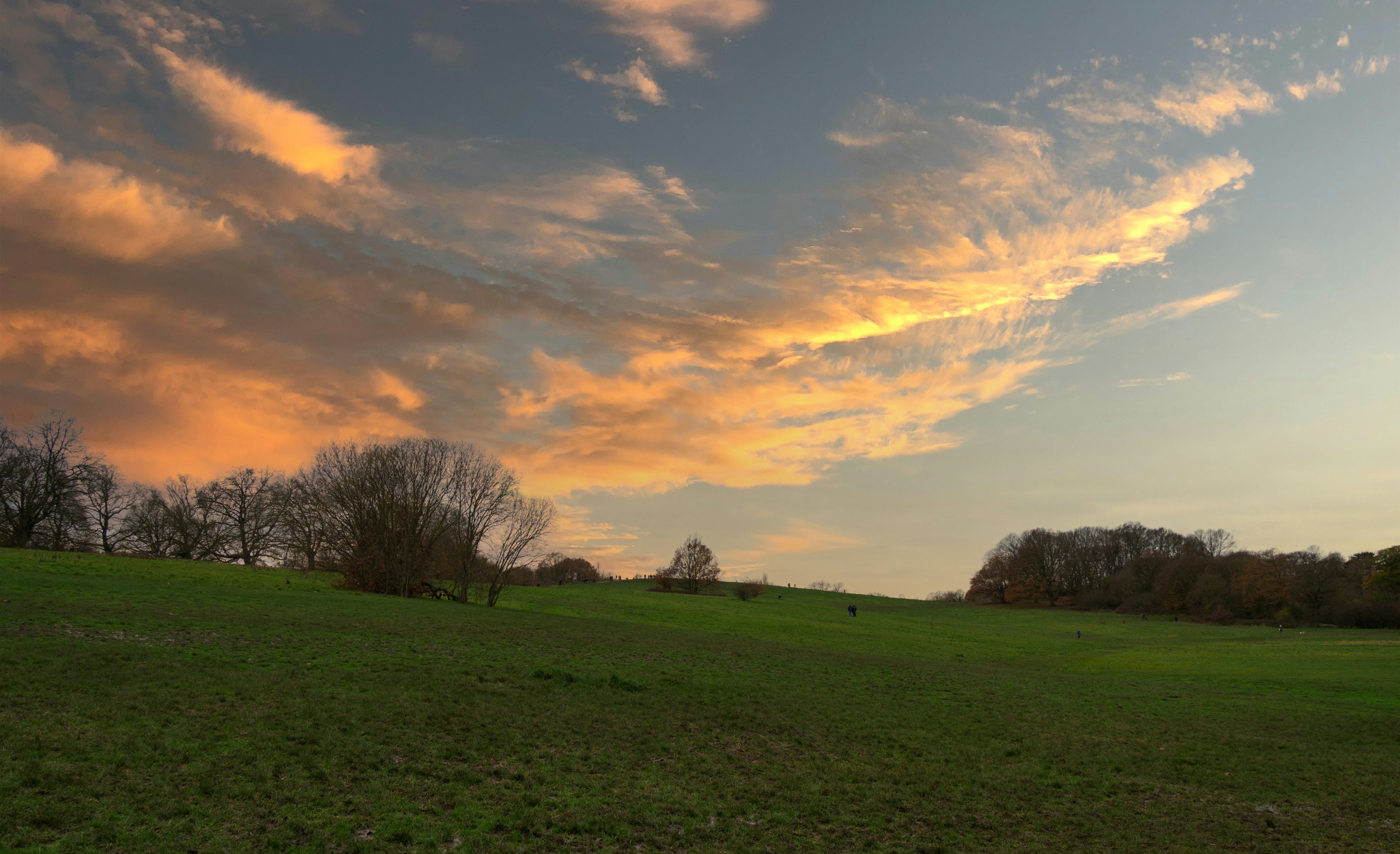 Photo by brett_jordan