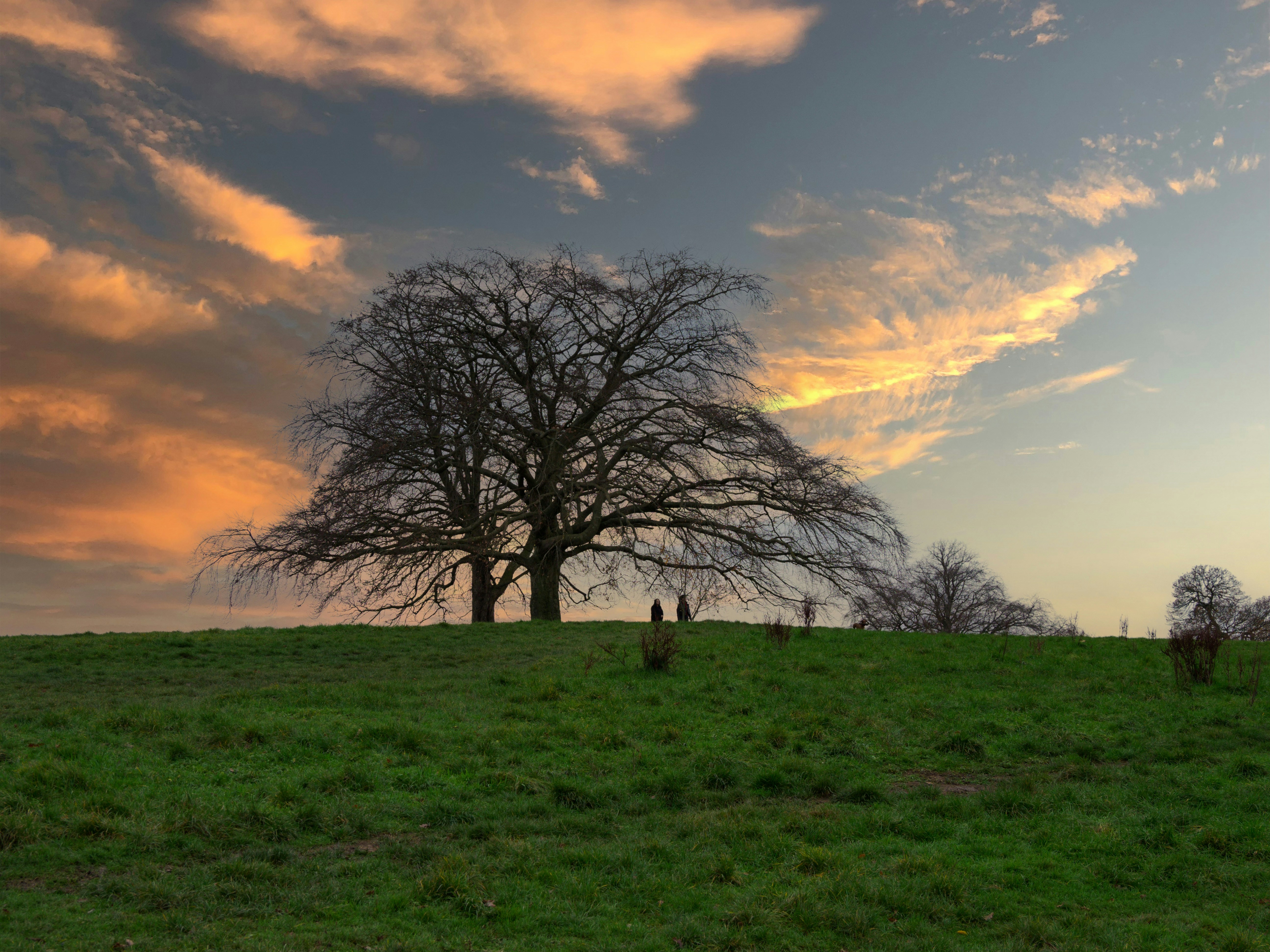 Photo by brett_jordan