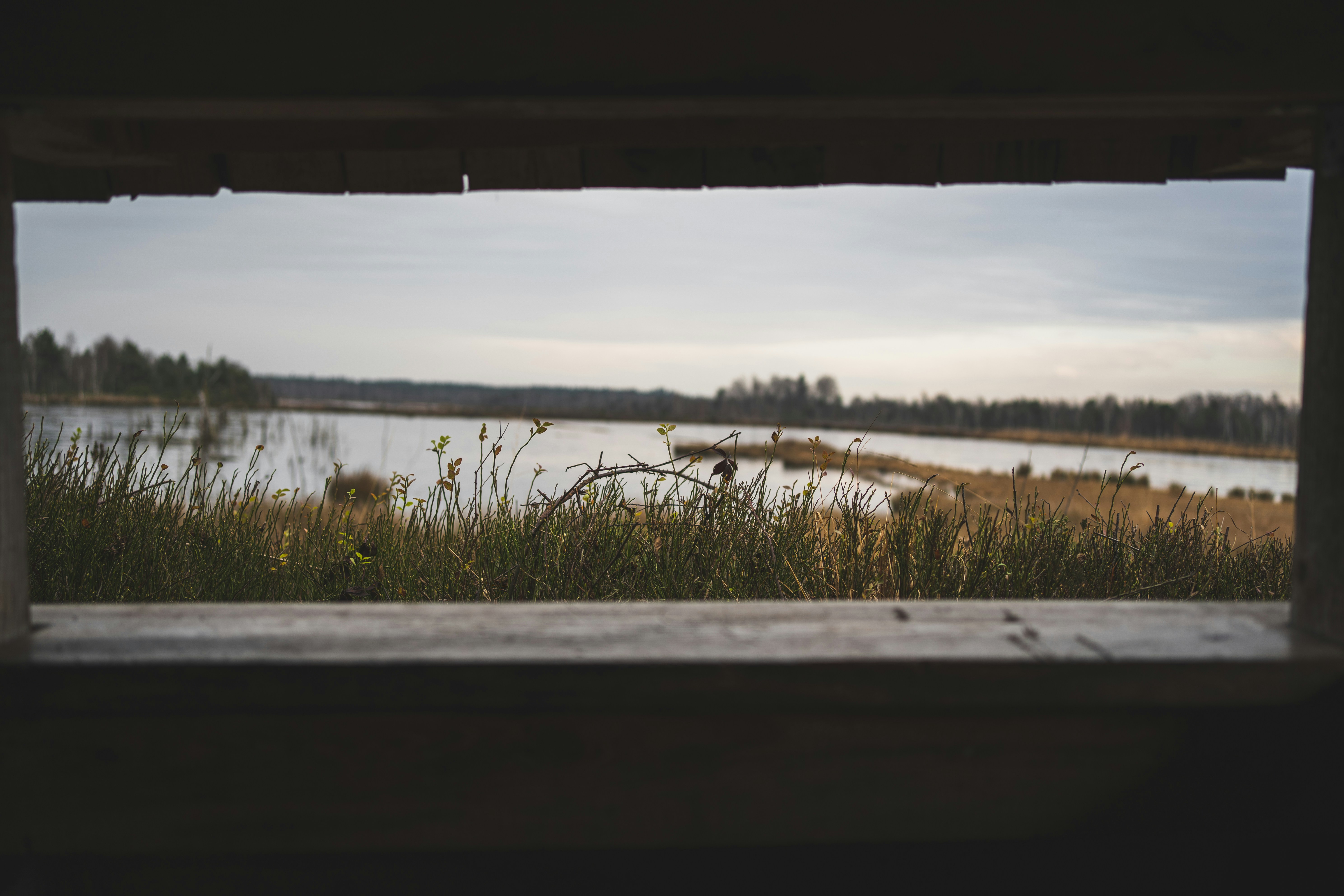 Photo by andretaissin