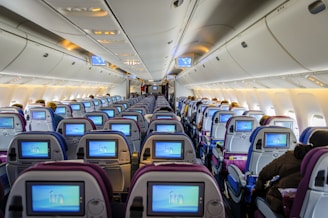 blue and white airplane seats