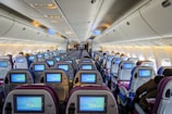 blue and white airplane seats