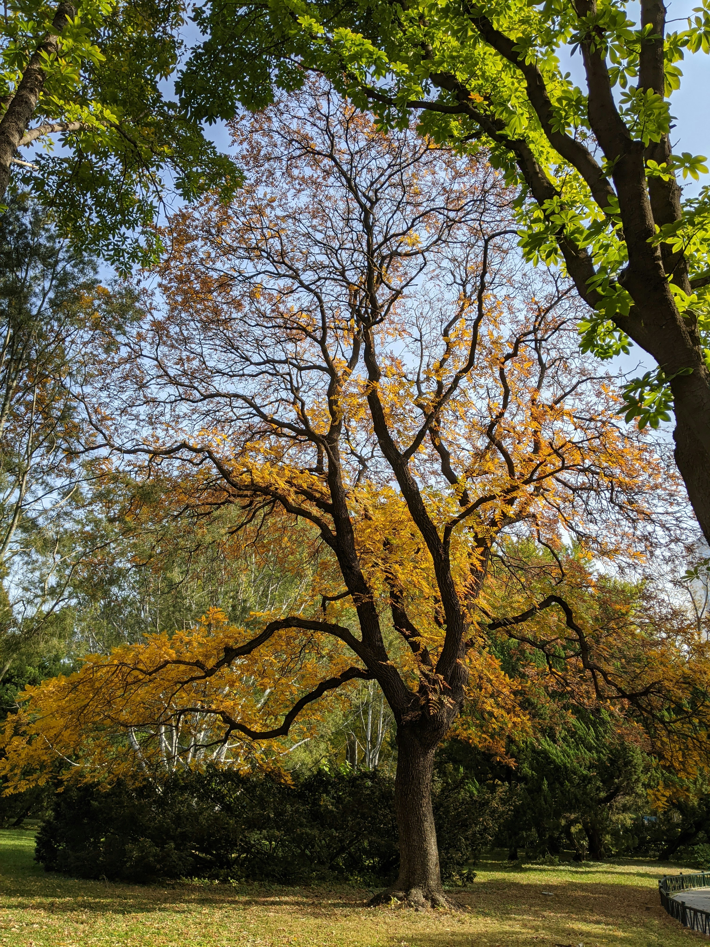 Photo by liushuai0929