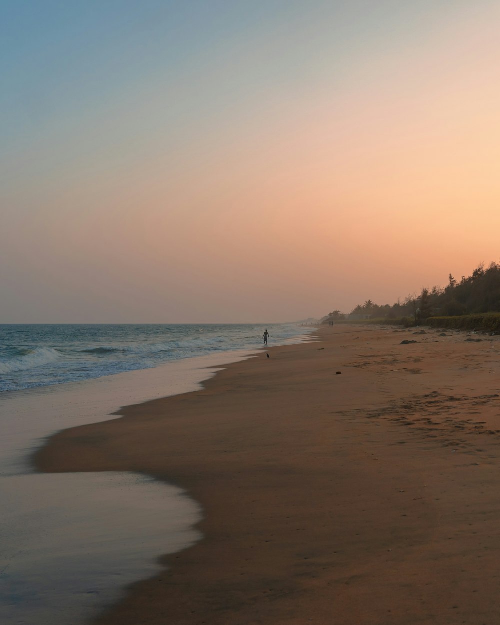 people on beach during sunset