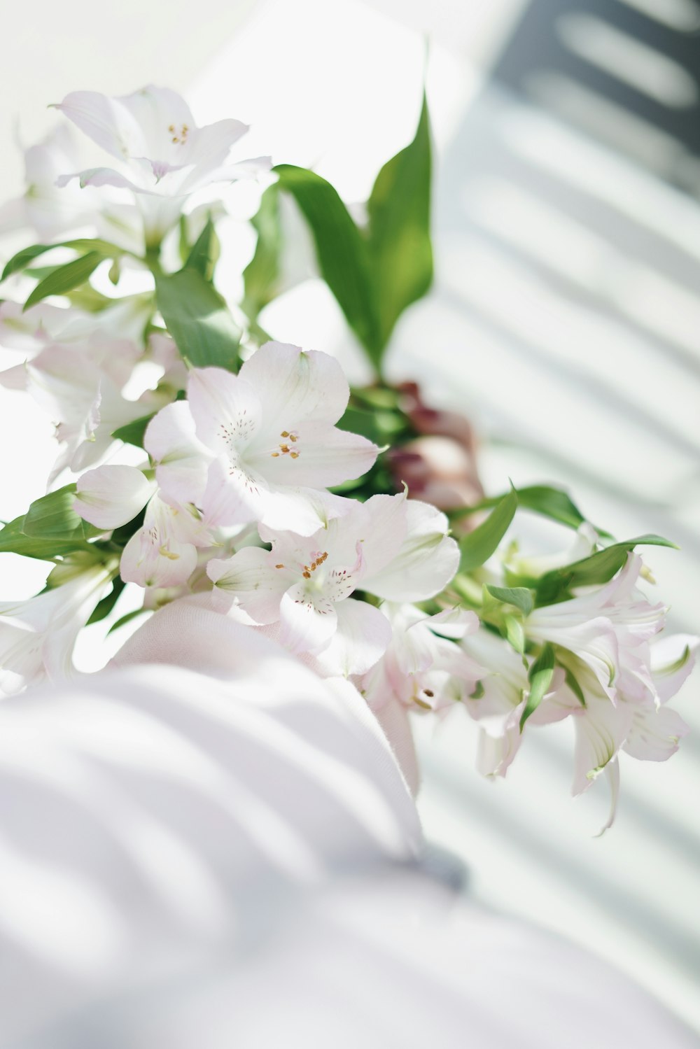 white and pink flowers on white textile