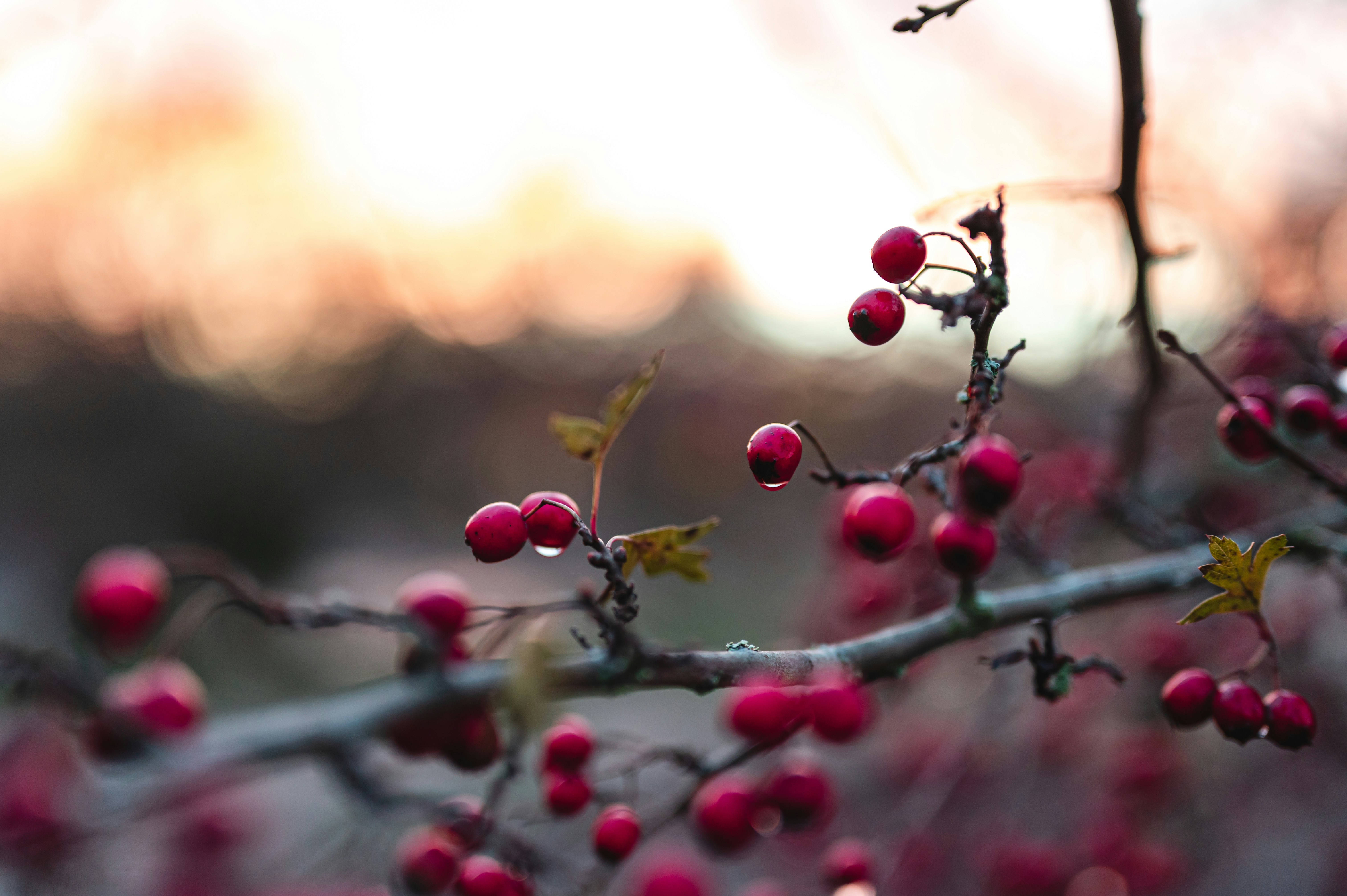 Photo by andreasbrun