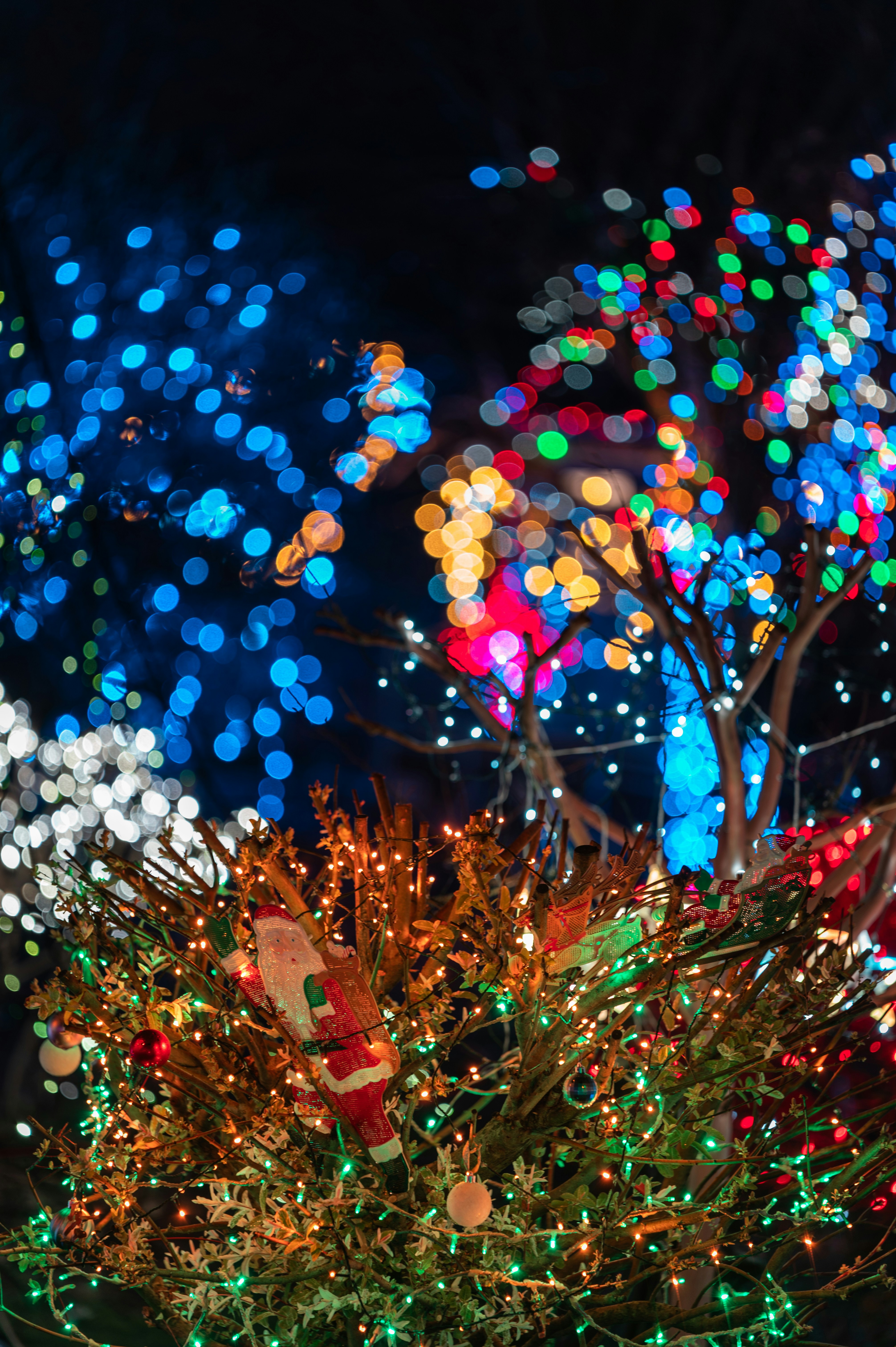 Photo by andreasbrun