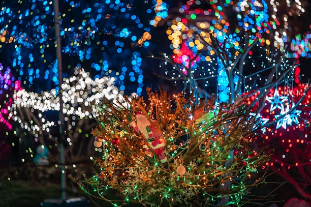 A festive display of beautifully hung Christmas lights in a Houston neighborhood.