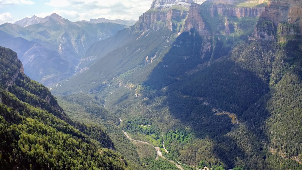 green trees on mountain during daytime