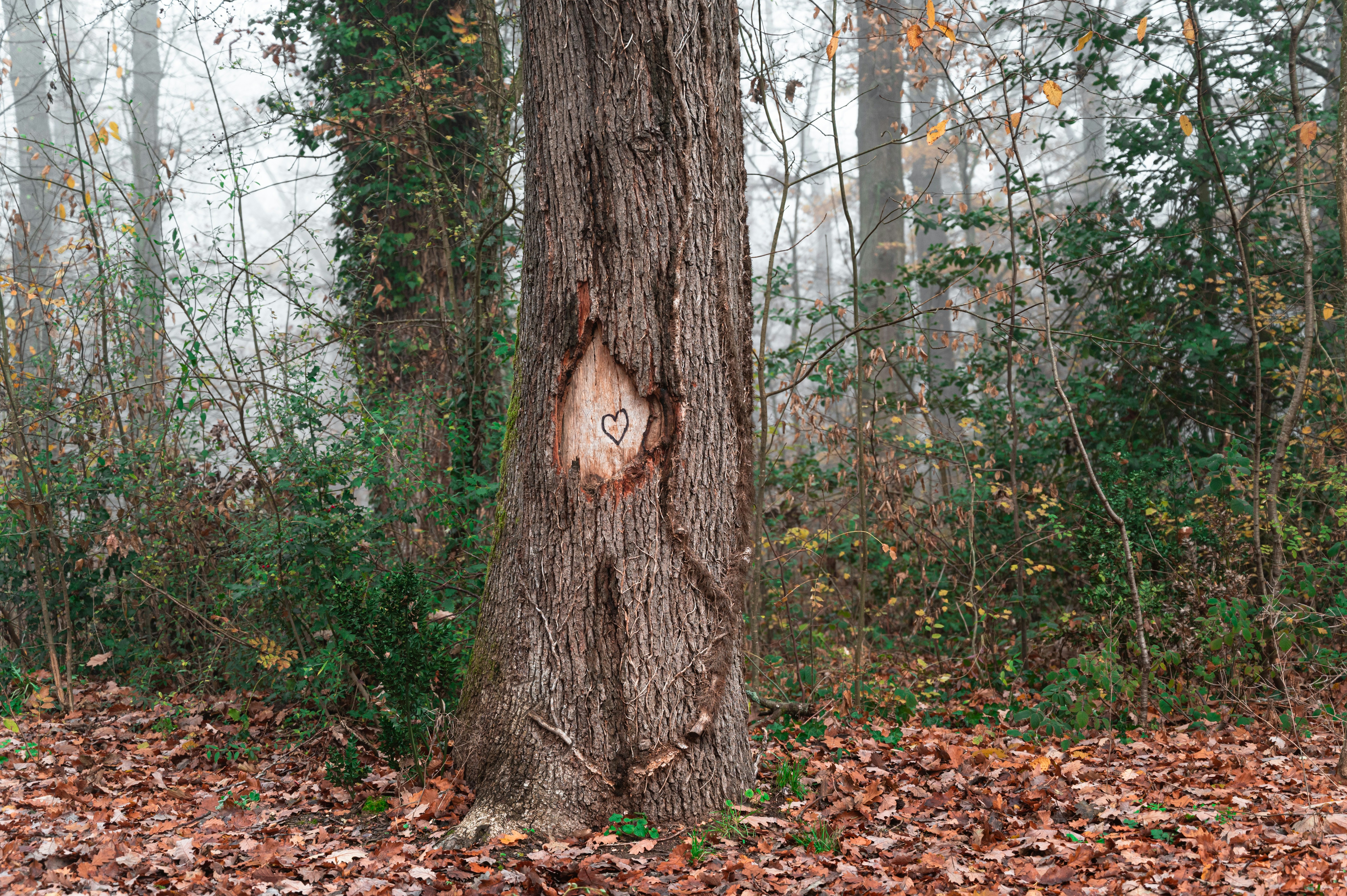 Photo by andreasbrun