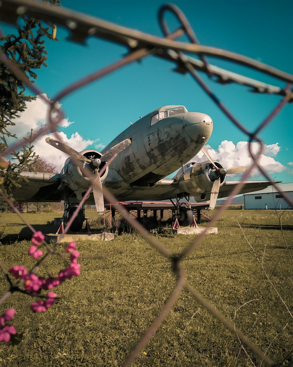 white airplane on green grass field during daytime