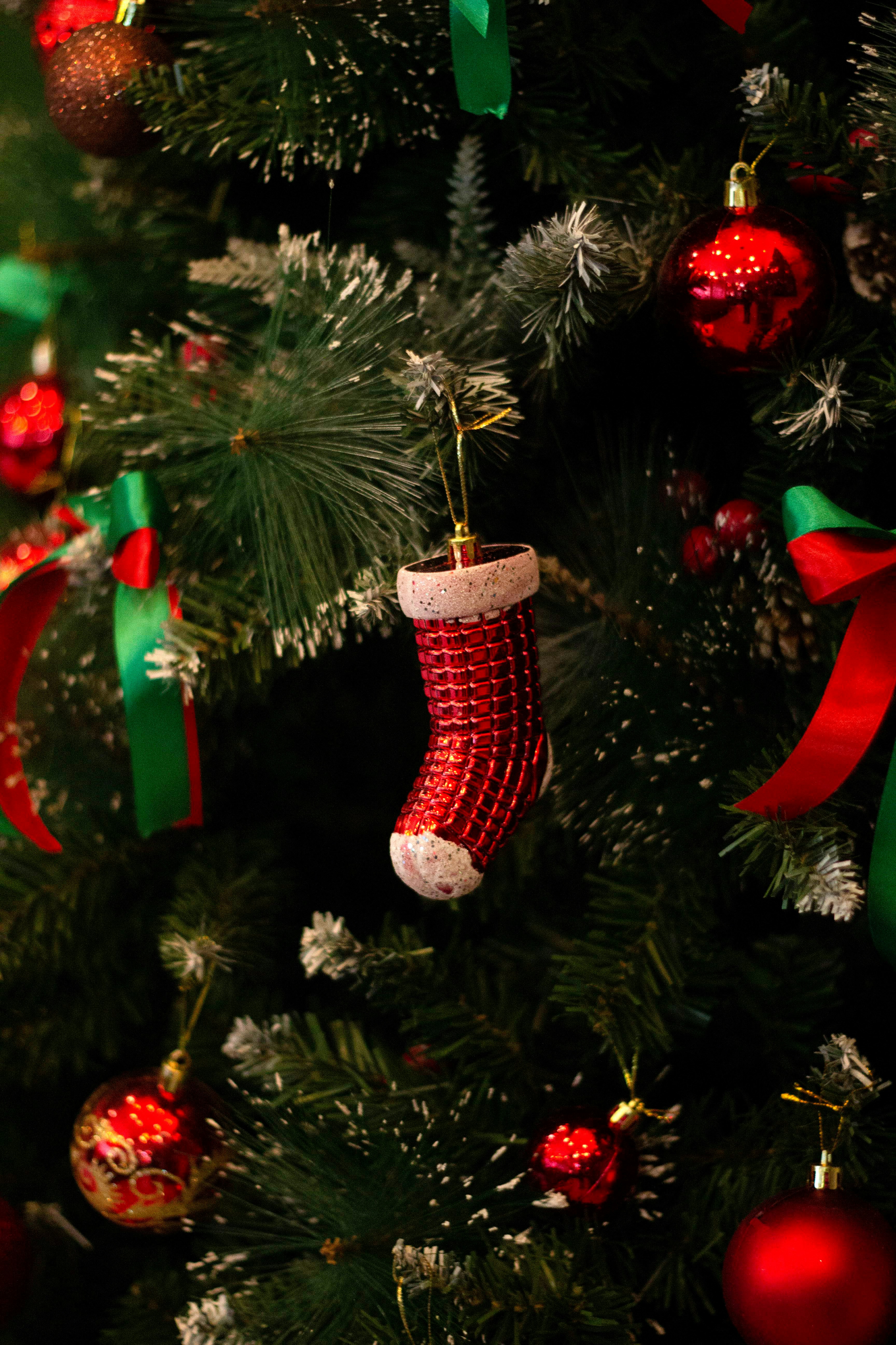 つまらないものと緑と赤のクリスマス ツリーの写真 Unsplashで見つけるクリスマスツリーの無料写真