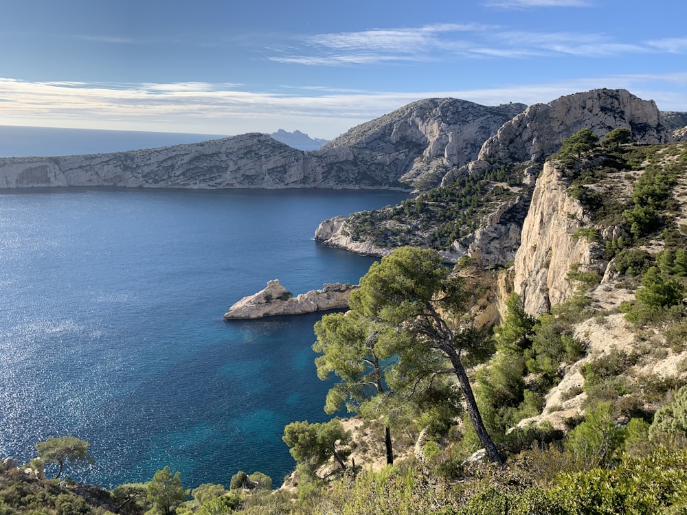 green trees on brown rocky mountain beside blue sea under blue sky during daytime