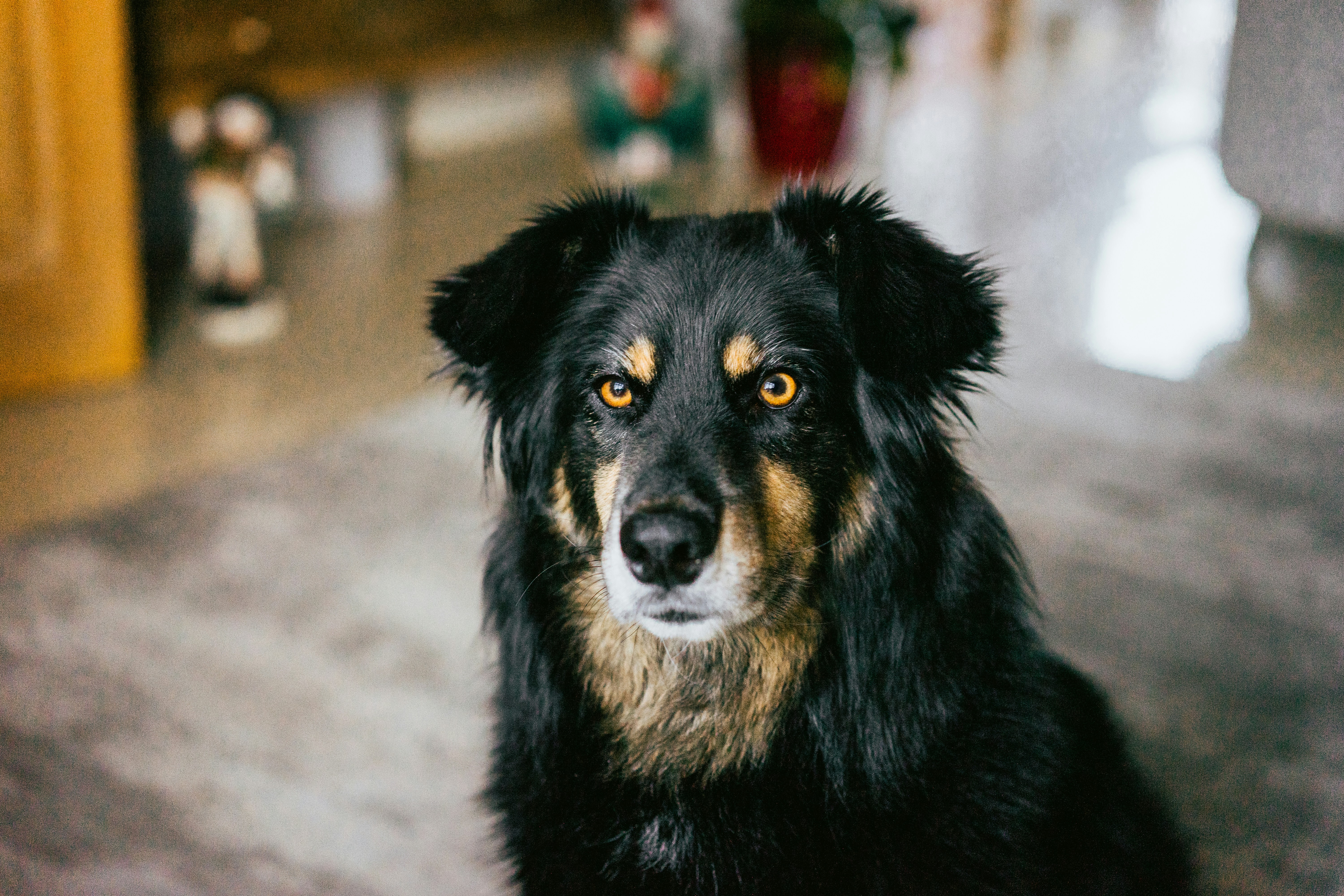 Photo by keizgoesboom