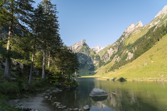 A serene mountain landscape featuring a calm lake surrounded by tall pine trees and rocky shores. The backdrop includes steep, green-covered mountains with rocky peaks, under a clear blue sky. The scene is peaceful and untouched, reflecting the tranquility of nature.