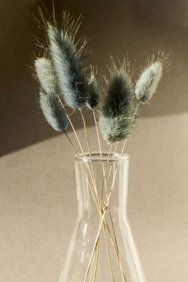 A green plant in a clear glass vase