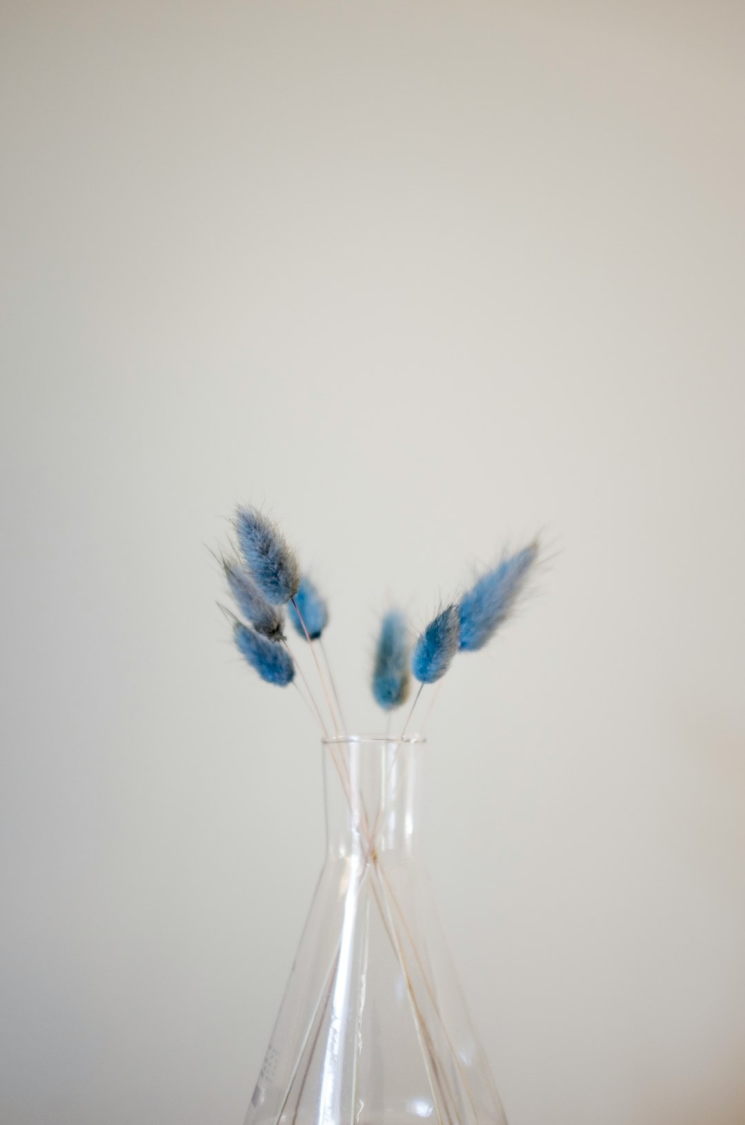blue and white feather in clear glass vase