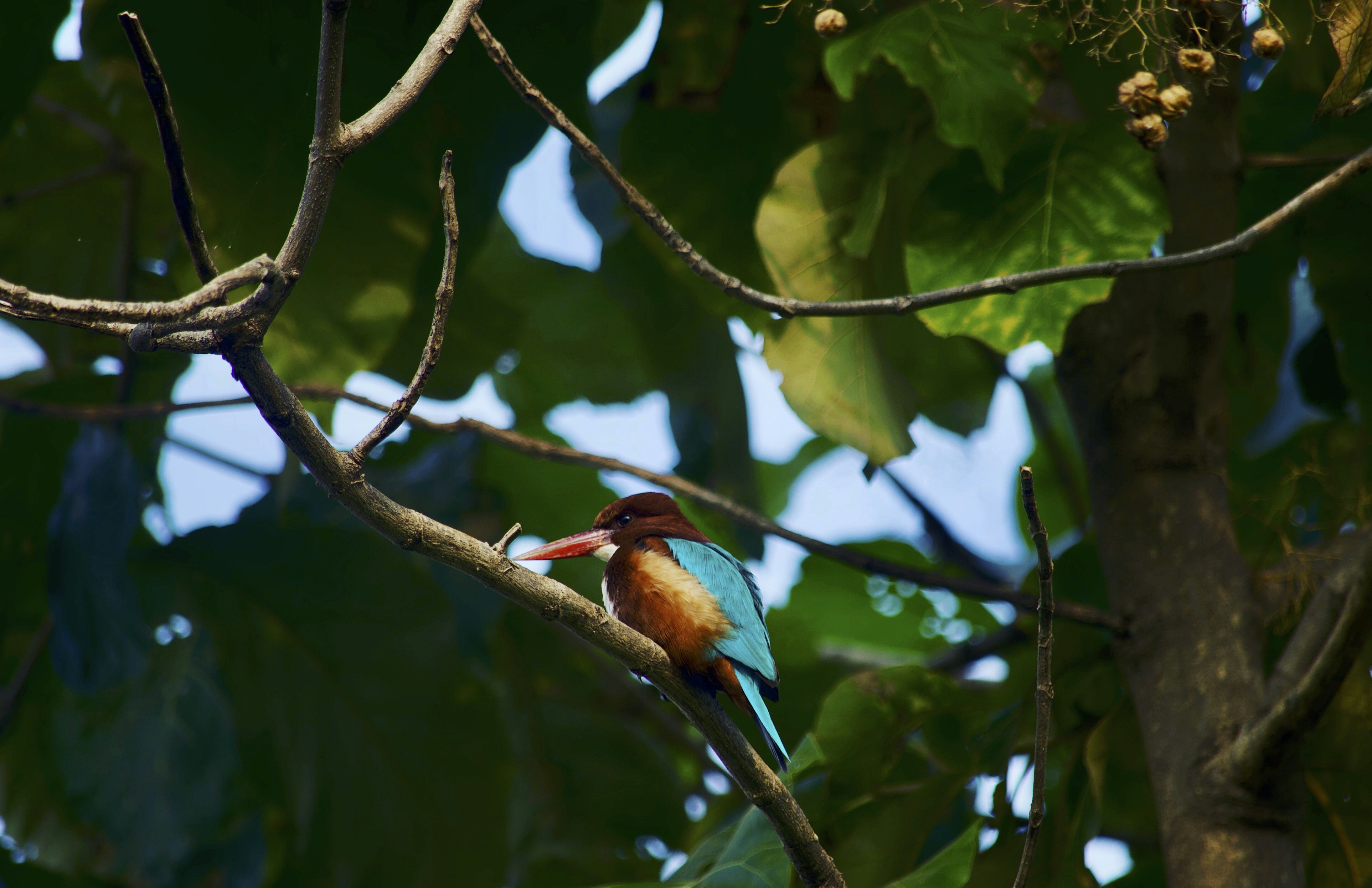 Photo by rrajputphotography