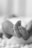 grayscale photo of babys feet