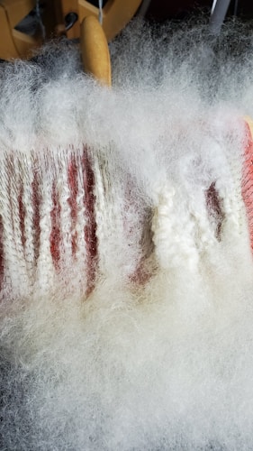 A close-up view of a carding machine with white wool fibers being processed. The fibers are aligned and spread out over a surface with fine metal teeth, with a wooden handle visible in the background.