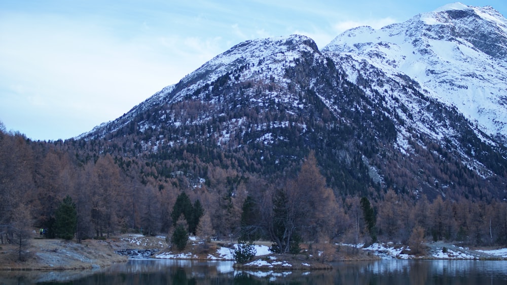 snow covered mountain near green trees during daytime