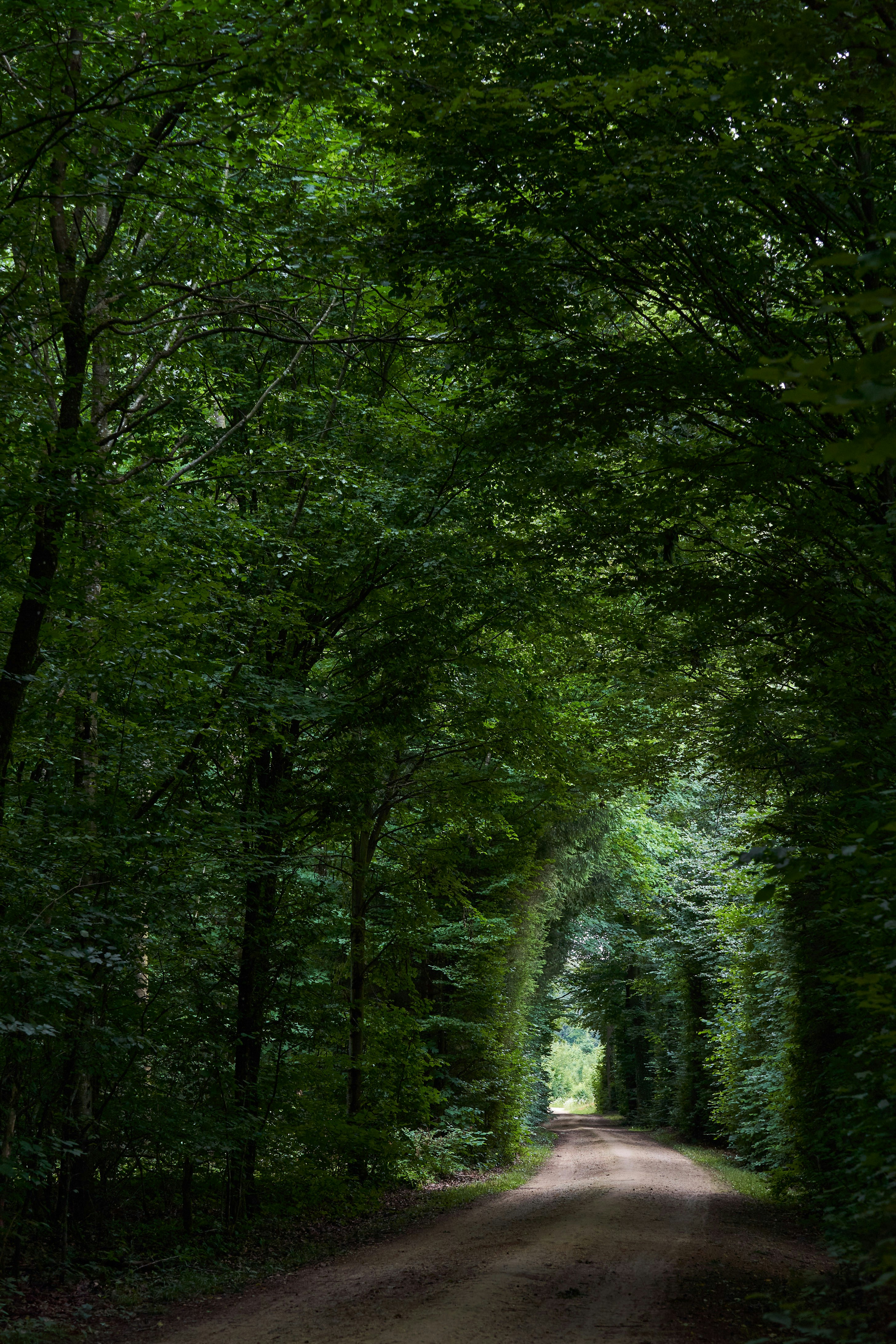 Photo by wolfgang_hasselmann