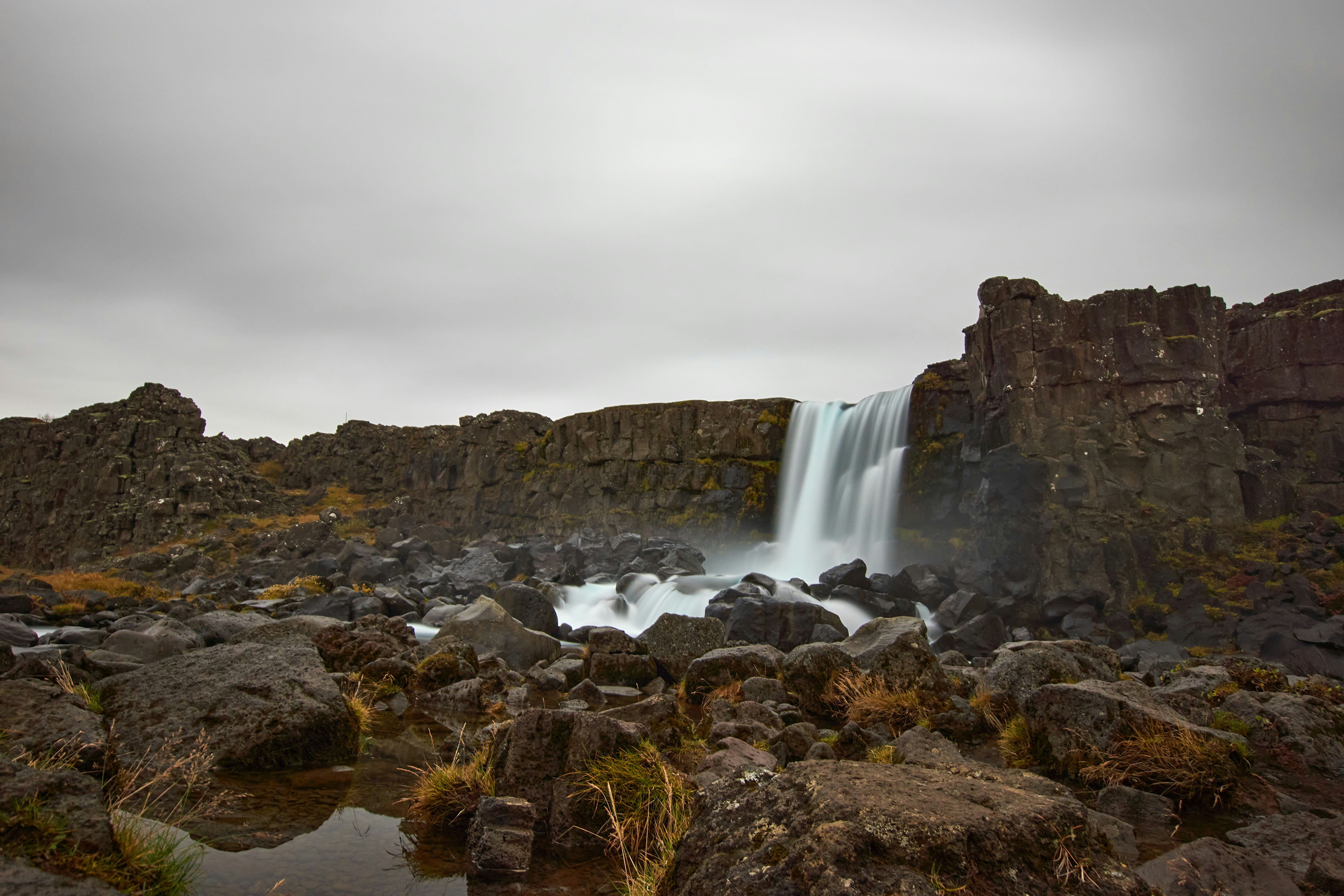 Photo by wolfgang_hasselmann