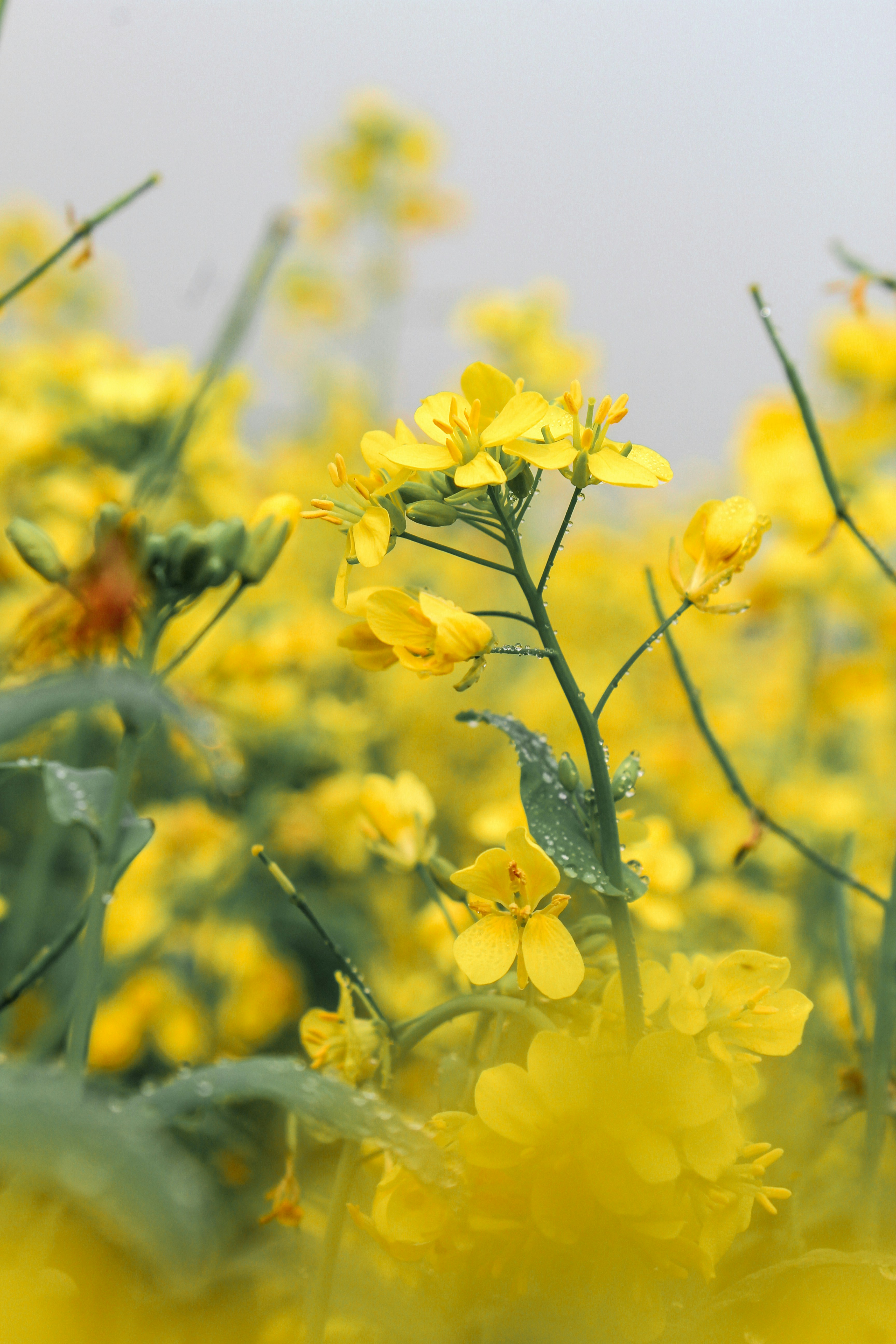 Photo by epicpsycho_69