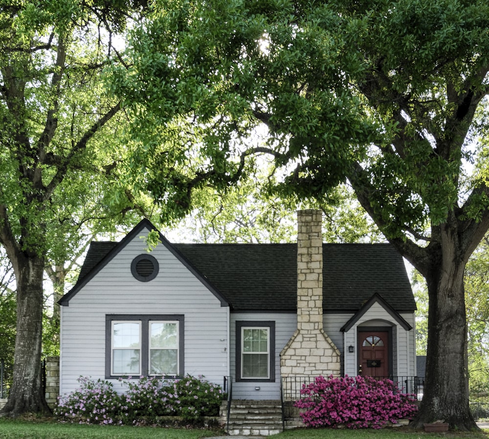 Maison blanche et brune entourée d’arbres verts