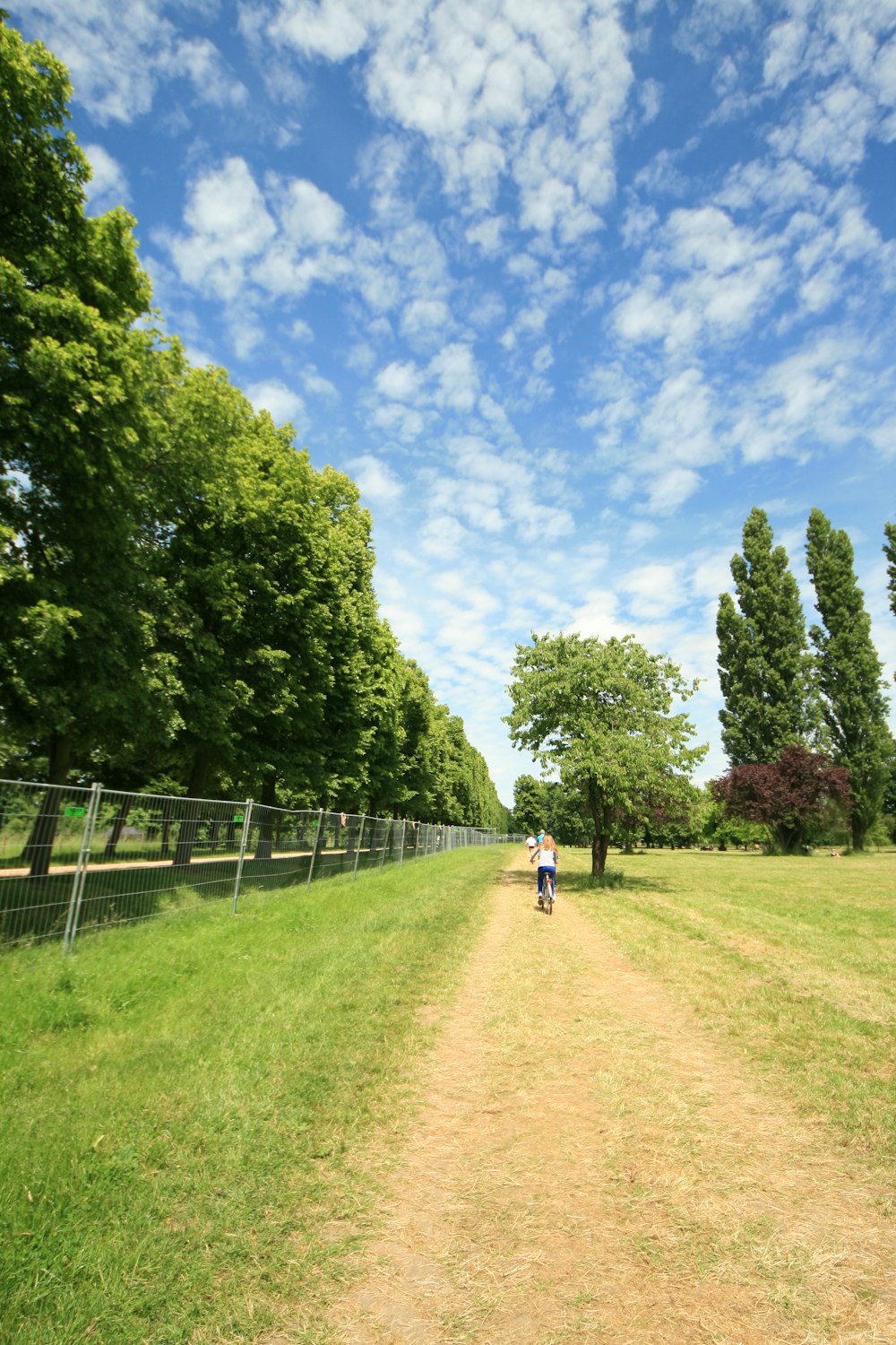 person in black shirt walking on dirt road between green trees under blue sky during daytime