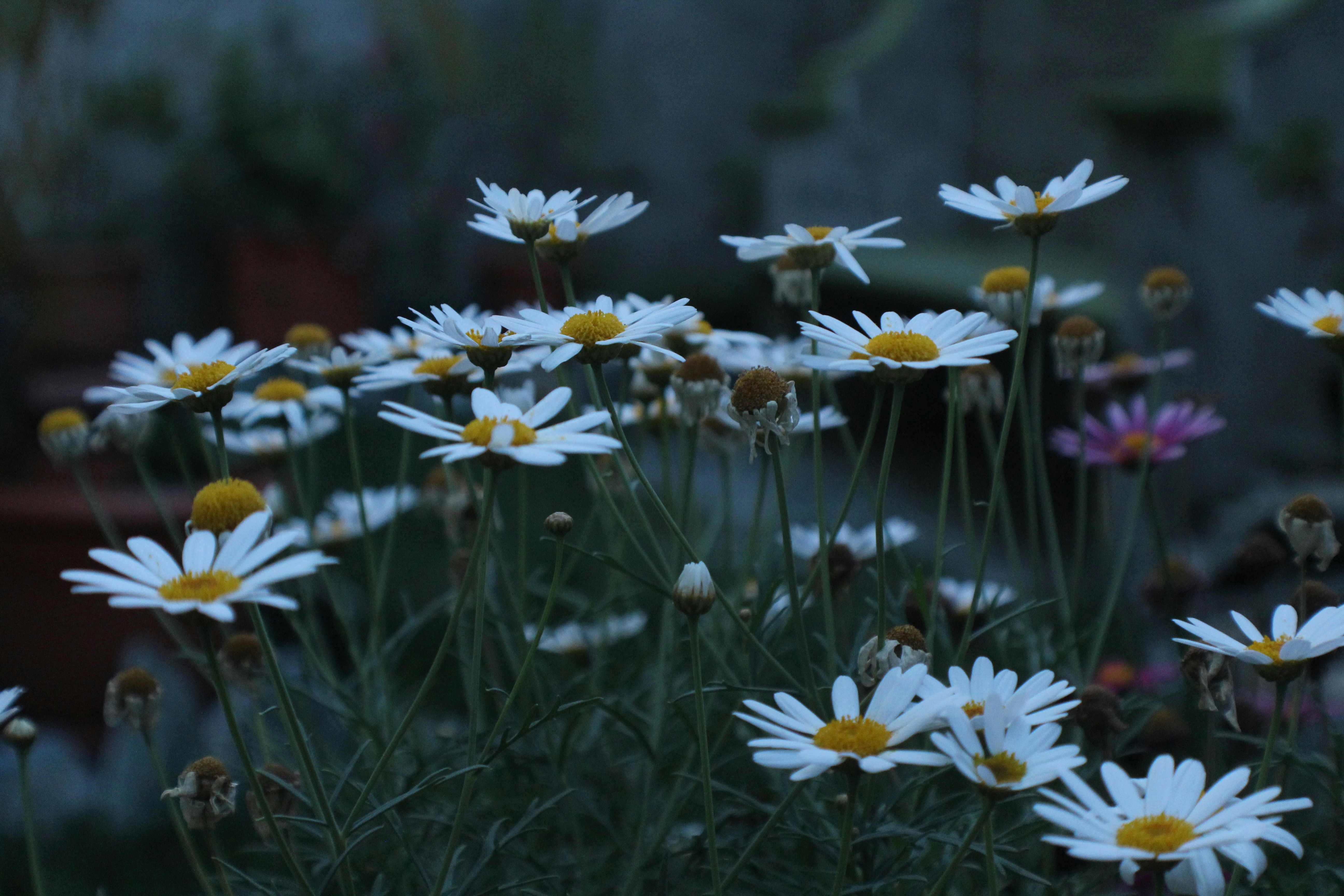 Photo by nathalie_annes