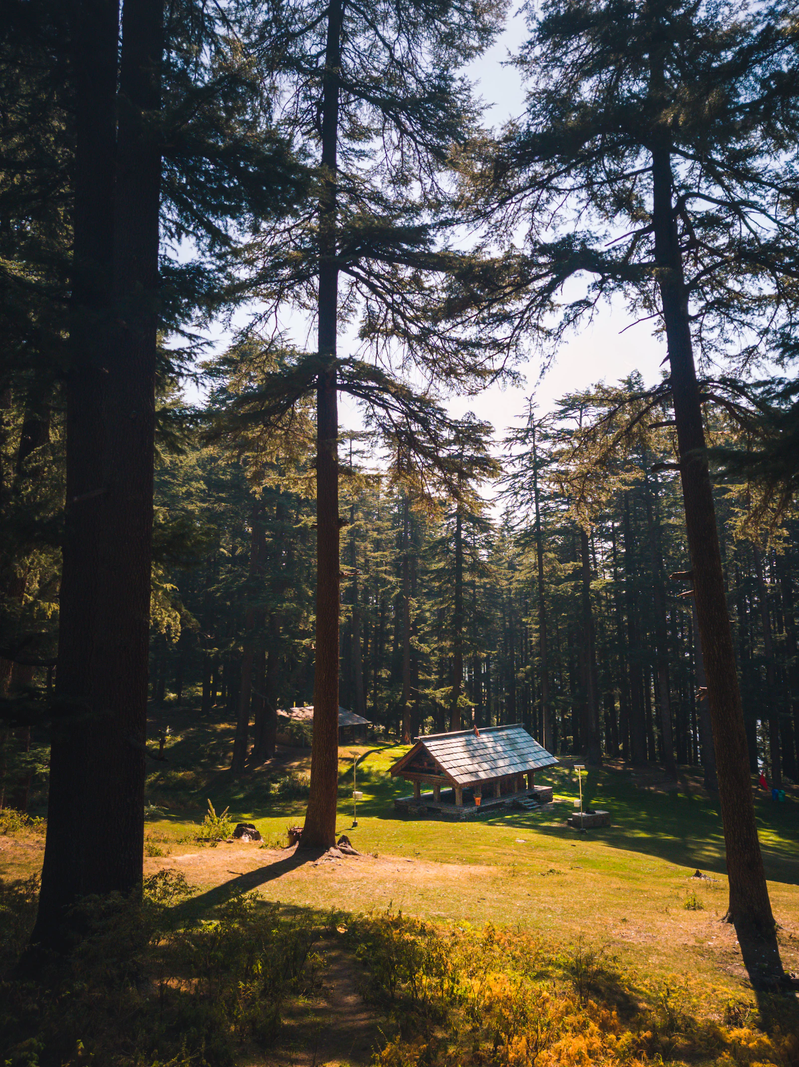 Sainj Valley & Shangarh Meadows Offbeat Tour preview 2