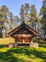 brown wooden house in the middle of forest during daytime