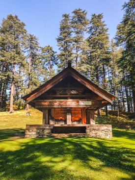 brown wooden house in the middle of forest during daytime
