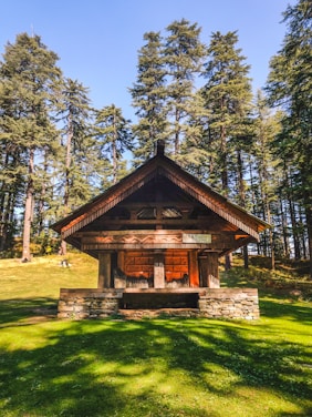 brown wooden house in the middle of forest during daytime
