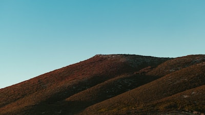 A serene landscape showing rich earth and wild herbs bathed in warm sunlight.