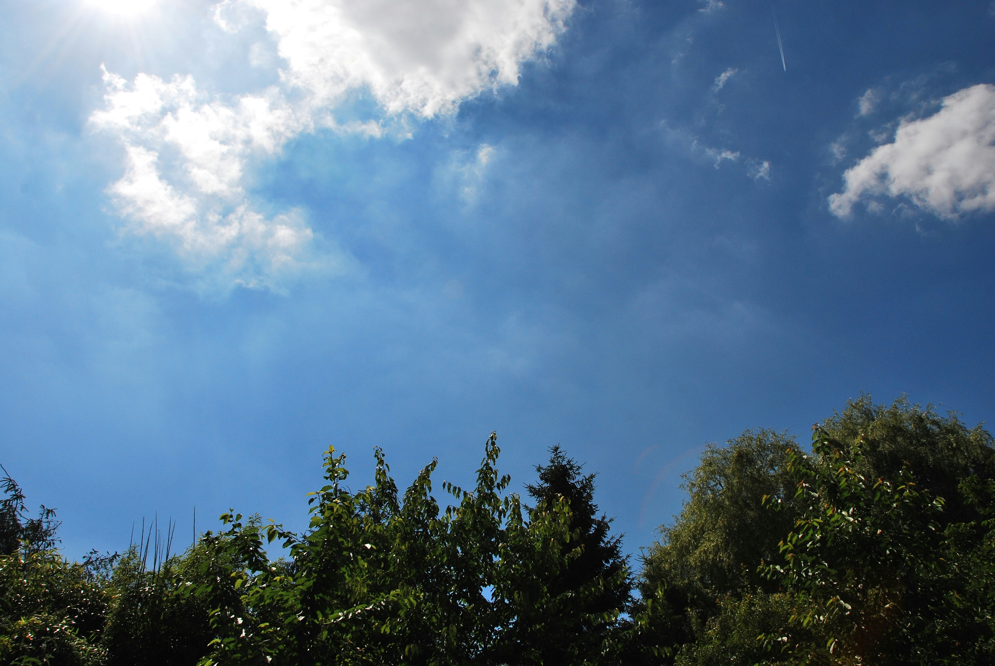 Sitting in my garden, watching the clouds pass by.