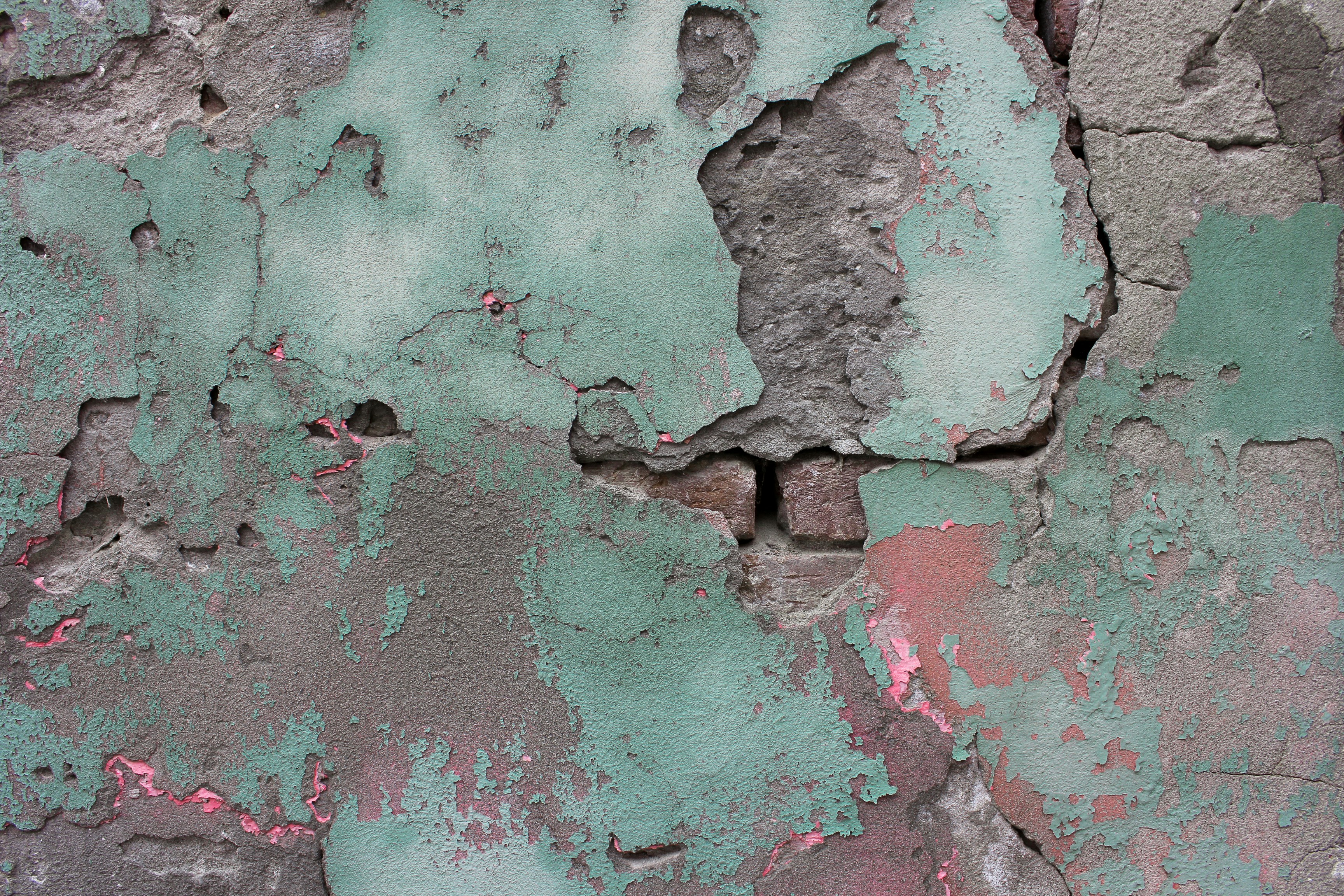 Photo by jennywhitney