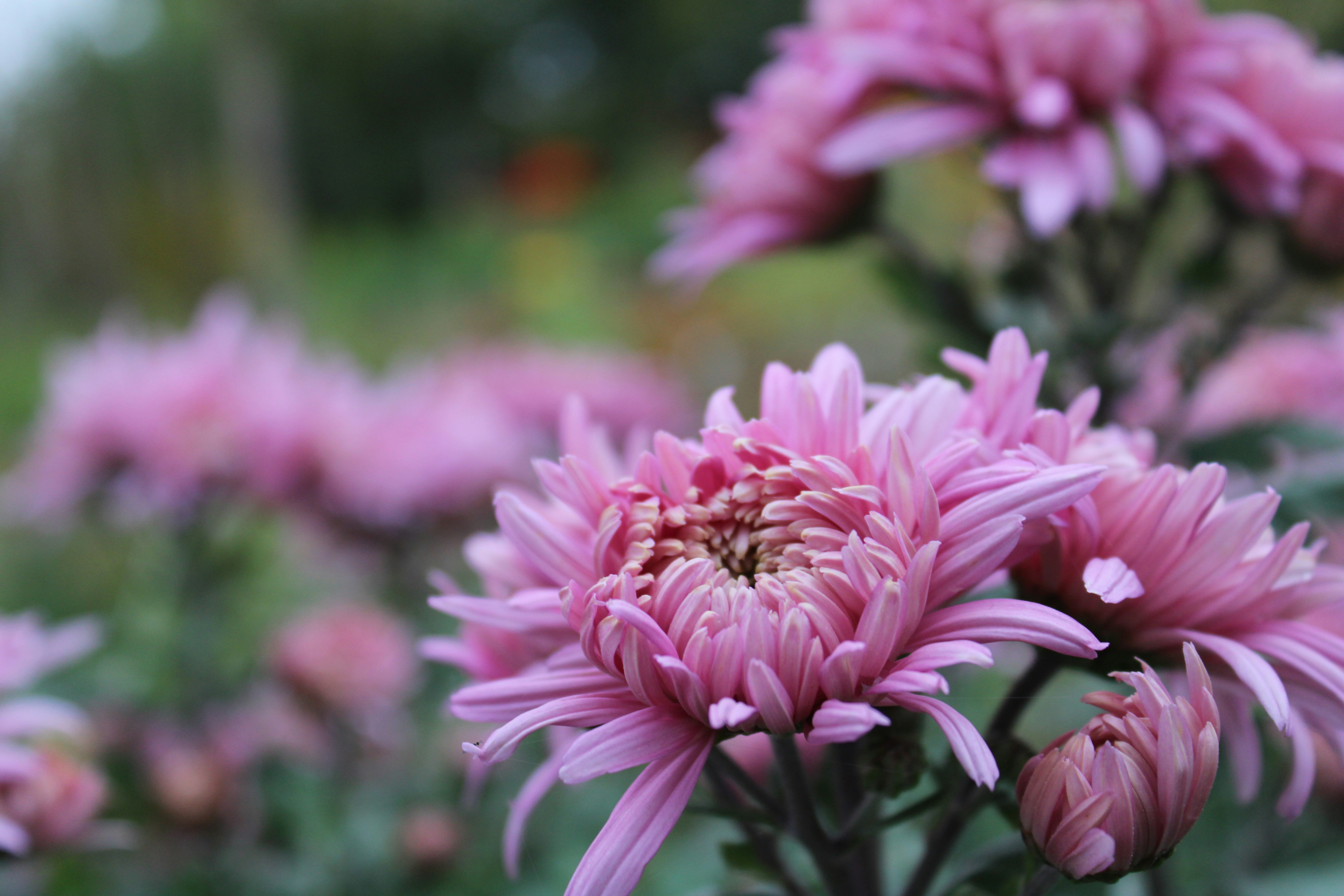 Photo by alexandrrast