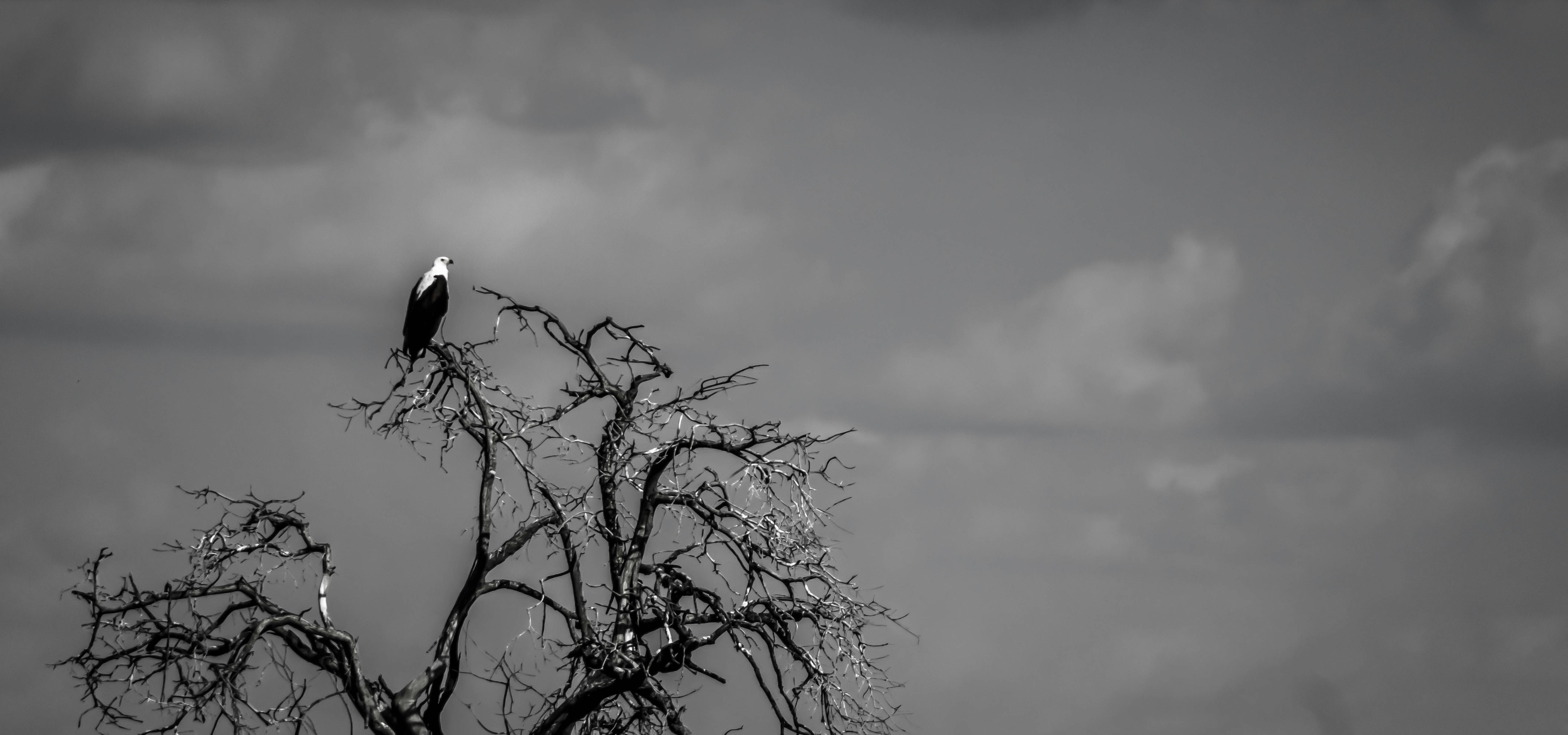 Photo by sammannfilms