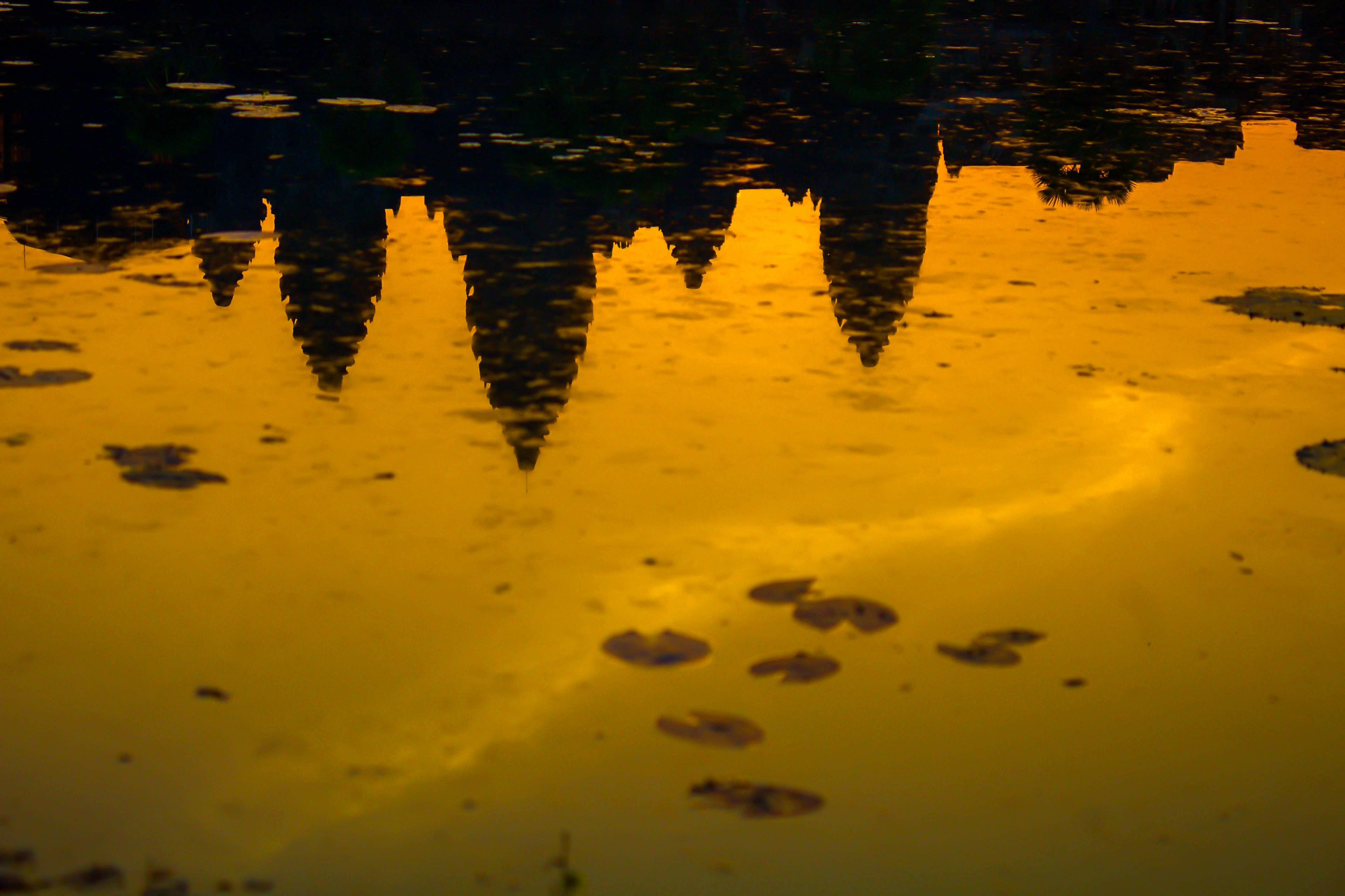 Photo by sammannfilms