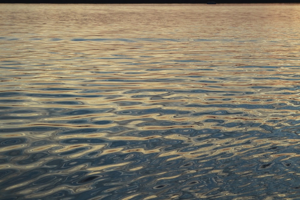 body of water during sunset