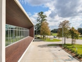 green trees near brown concrete building during daytime