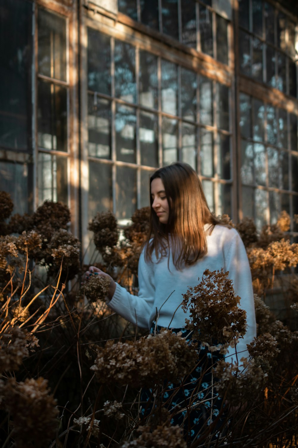 woman in blue long sleeve shirt standing in front of brown flowers