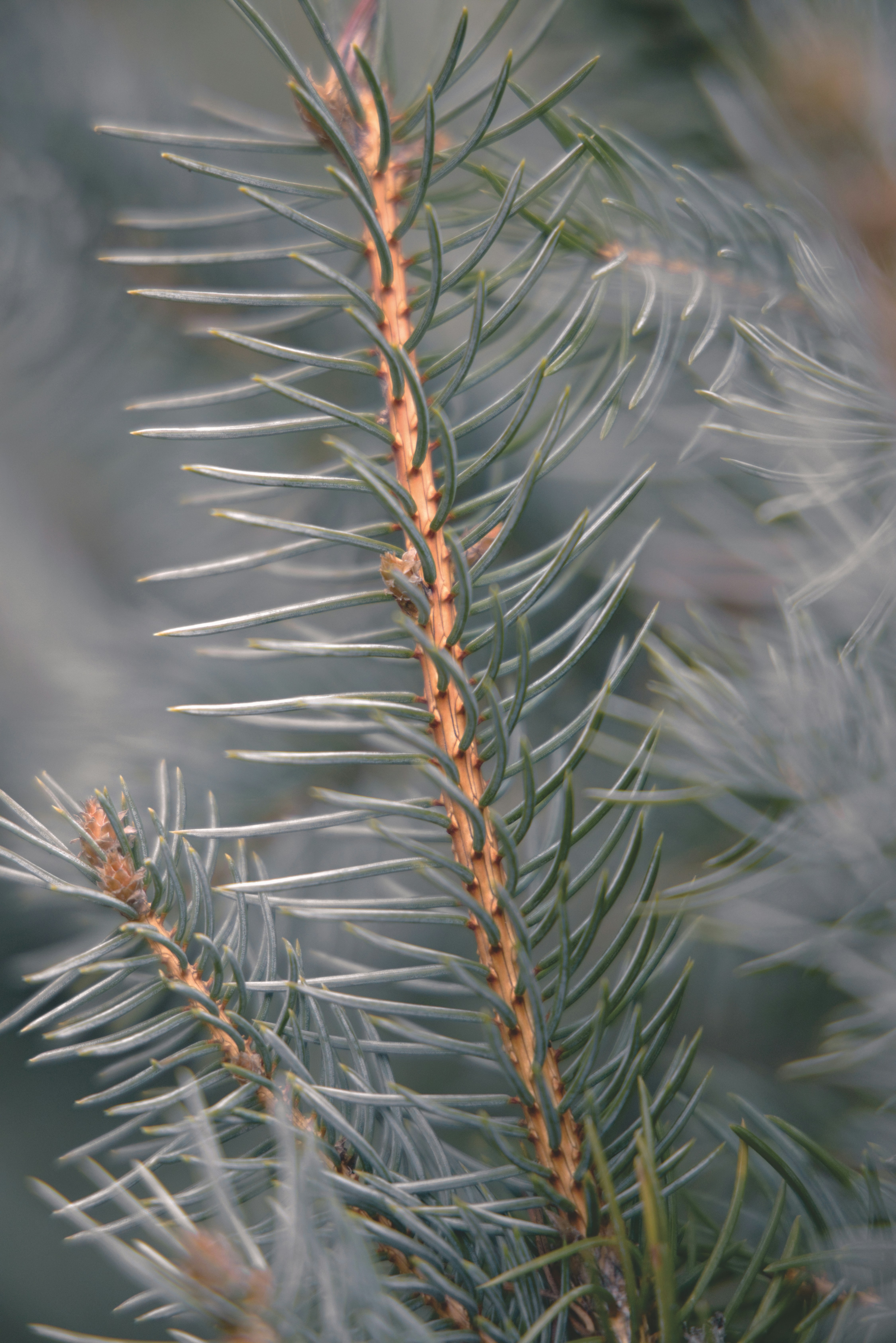 Photo by ldpeterson11