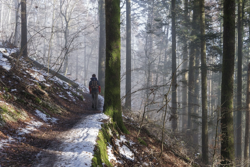 A person walking on a hiking trail covered with snow.