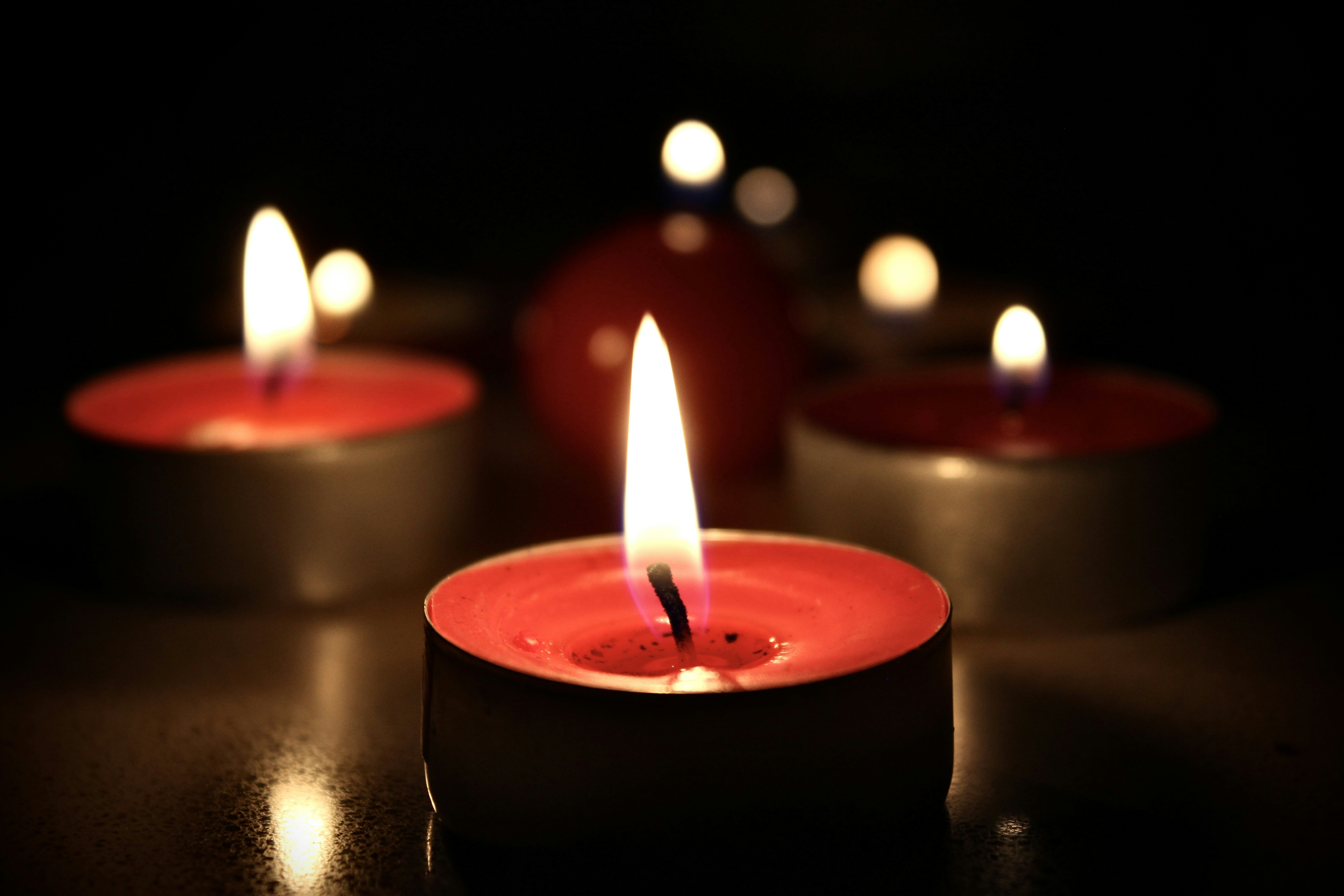 Photo by cansindogaalis