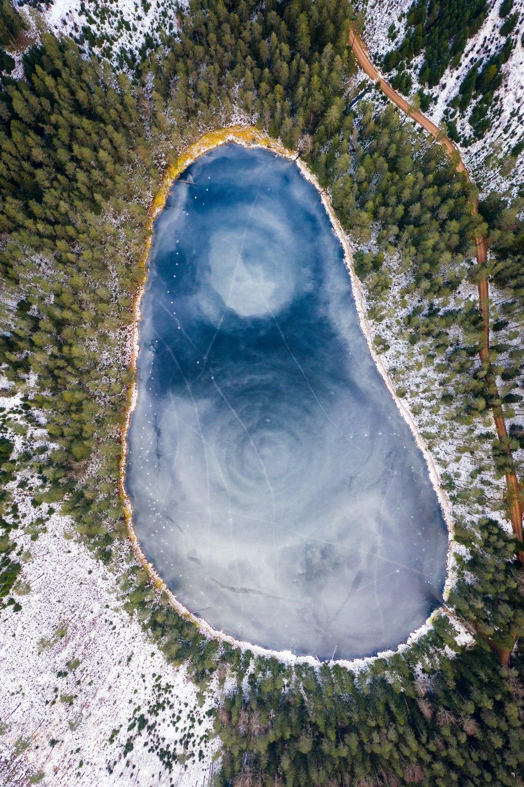 black and brown oval shape on ground