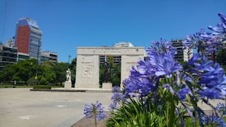 A monument stands in the center of a plaza with a statue of a man on horseback and another statue on a pedestal to the left. Purple flowers bloom in the foreground, and several modern buildings with colorful facades are visible in the background against a clear blue sky. Lush green trees add a natural touch to the urban setting.
