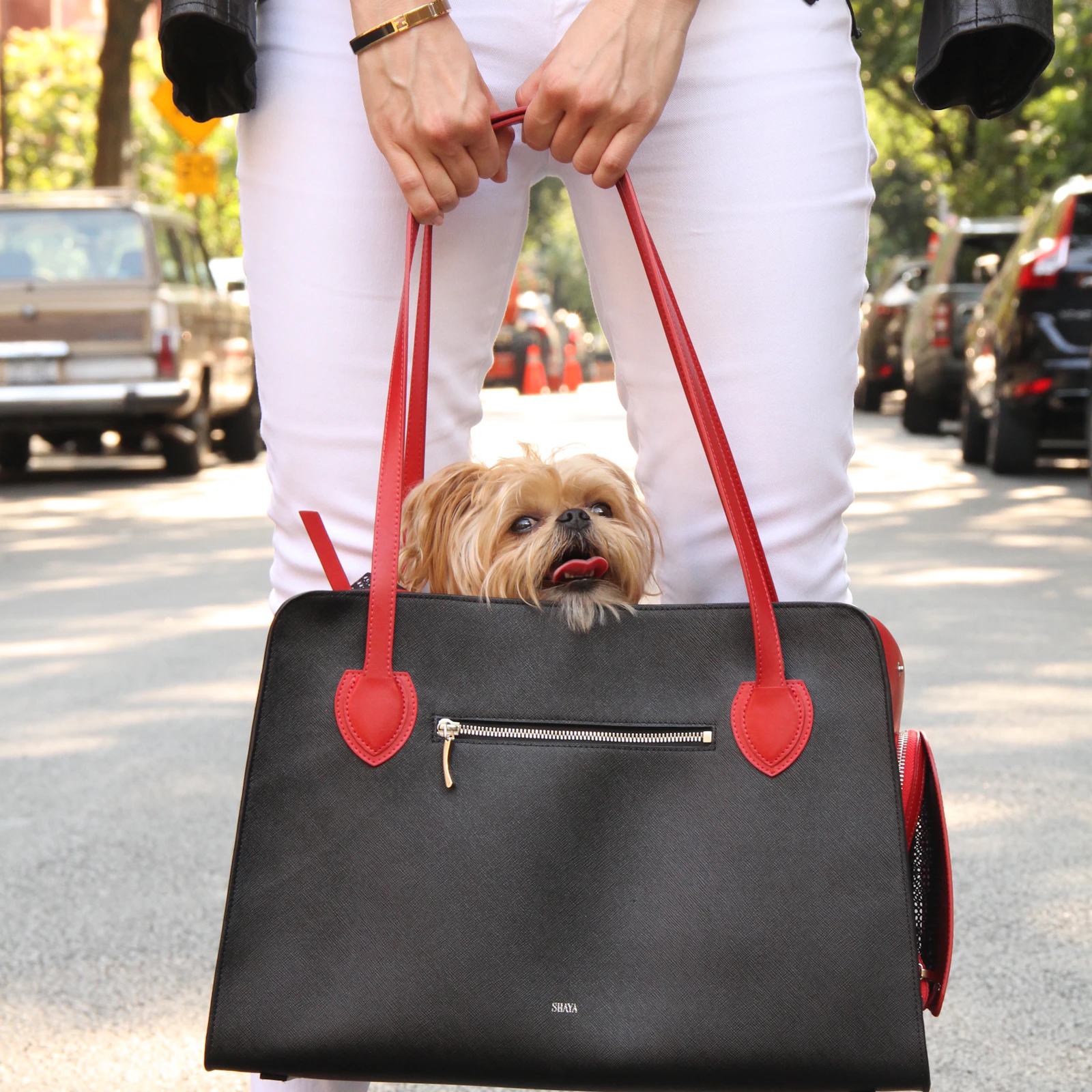 A small long-haired dog peeking out of a black carrier bag with red straps carried by a person on a city street